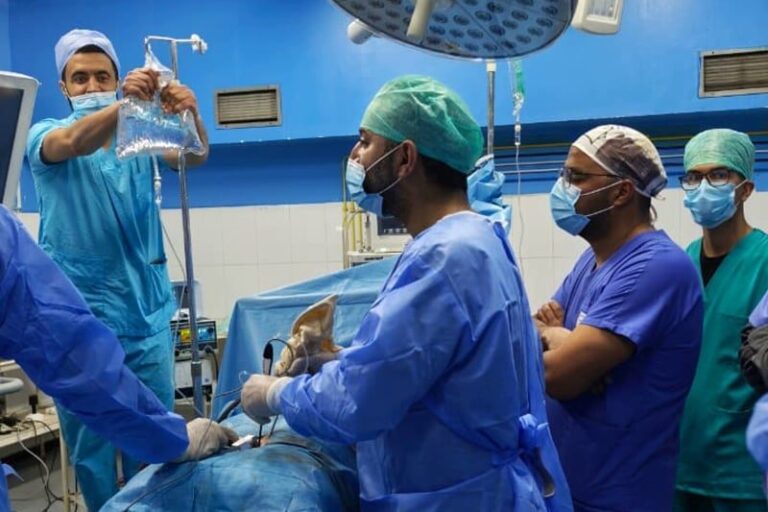 صورة المقالة