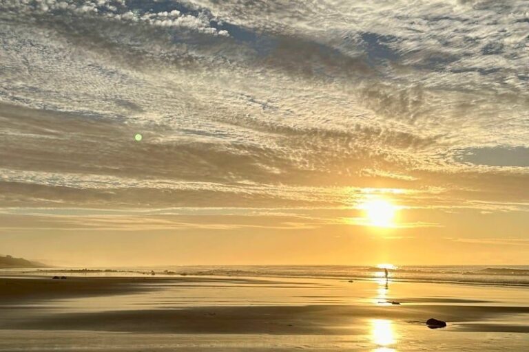 صورة المقالة