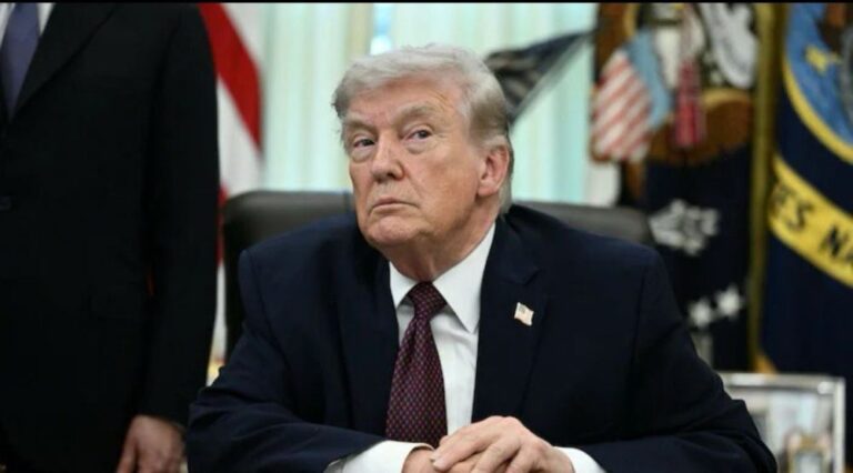 صورة المقالة