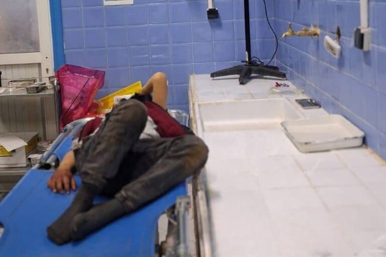 صورة المقالة