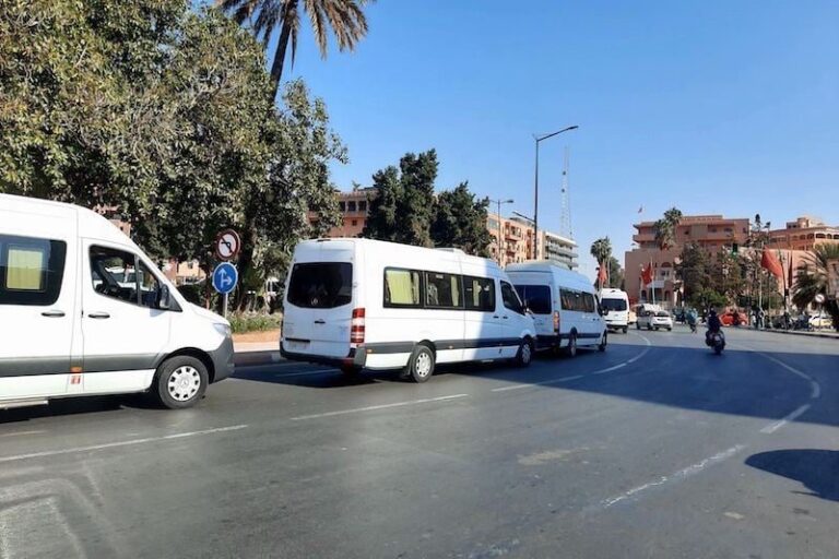 صورة المقالة