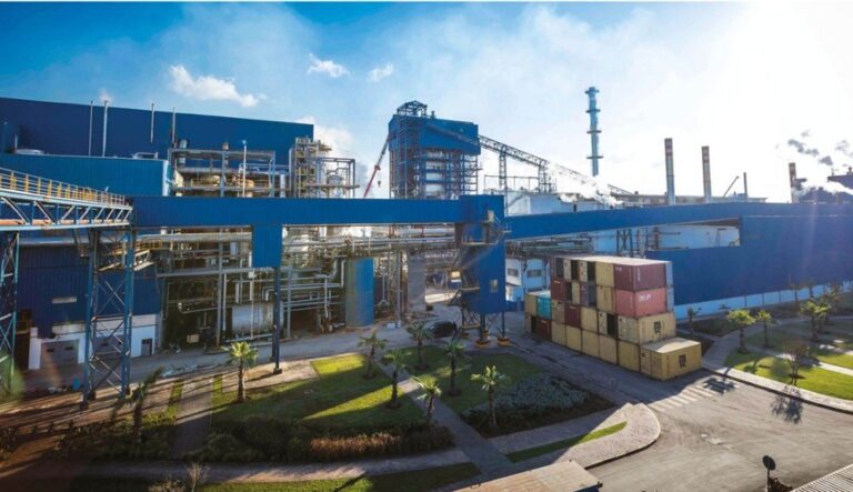 صورة المقالة