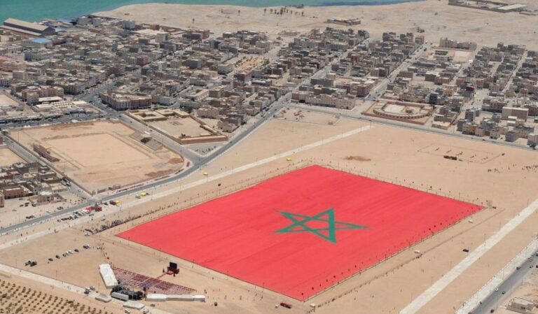 صورة المقالة