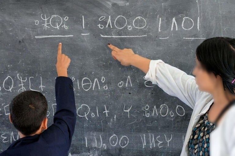 صورة المقالة