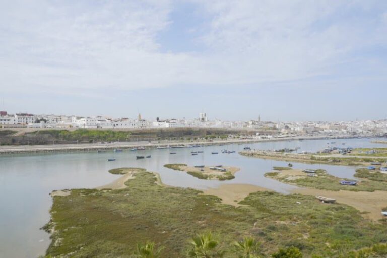 صورة المقالة