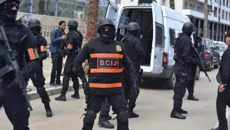 صورة المقالة