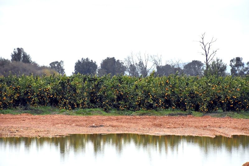 تفسير علمي للأمطار الغزيرة والبرد في مناطق مغربية.. وتوقعات باستمرار التقلبات