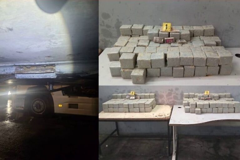 صورة المقالة