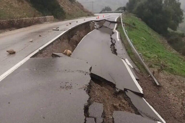 صورة المقالة