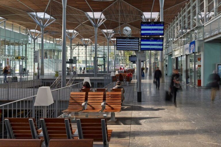 صورة المقالة