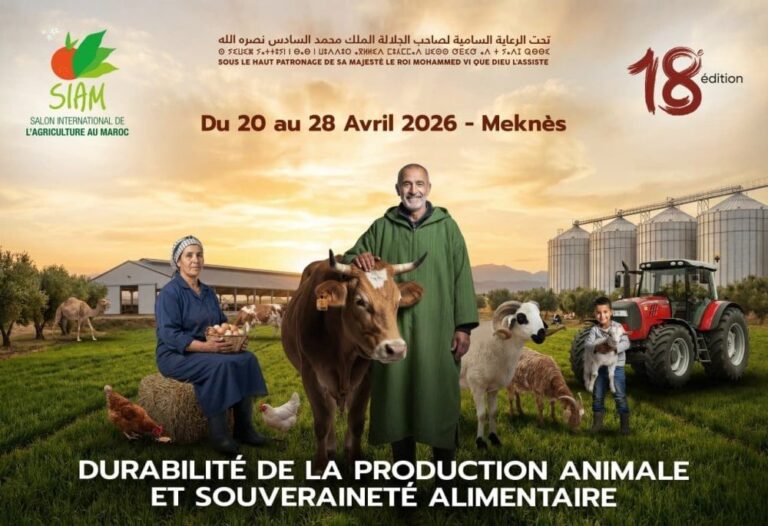 صورة المقالة