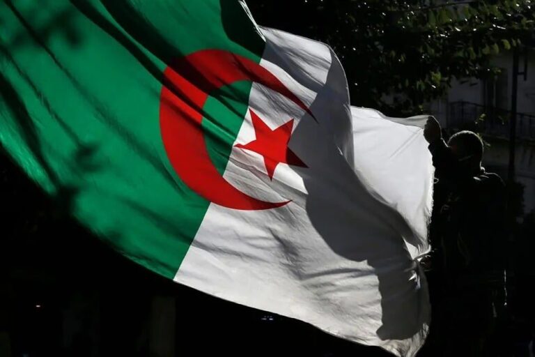 صورة المقالة