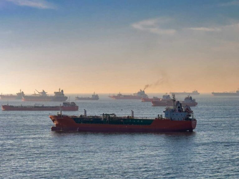 صورة المقالة