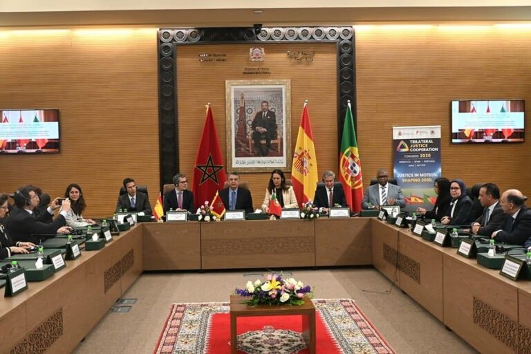 صورة المقالة