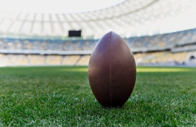 صورة المقالة