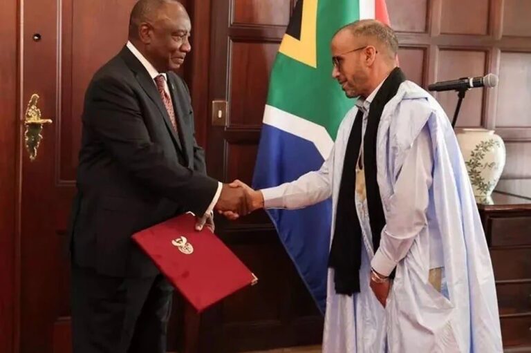 صورة المقالة