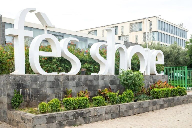 صورة المقالة