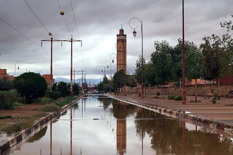 صورة المقالة