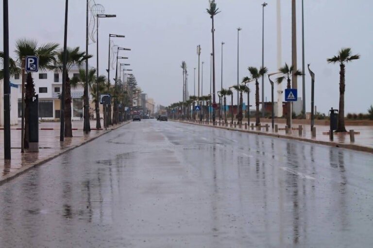 صورة المقالة