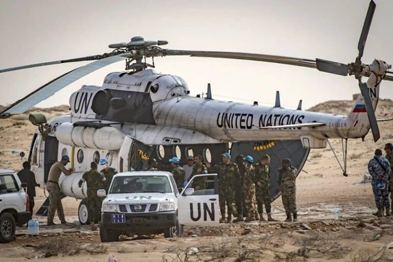 صورة المقالة