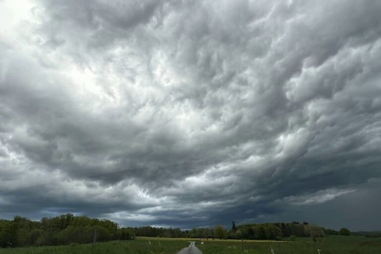 صورة المقالة