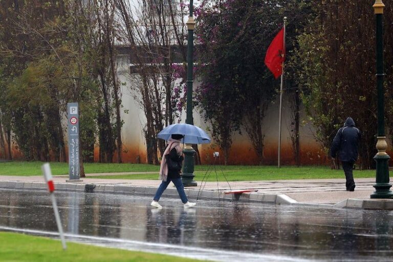 صورة المقالة