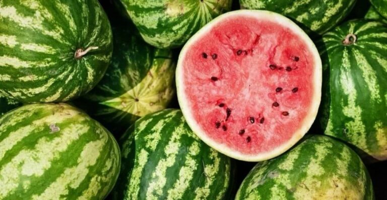 صورة المقالة