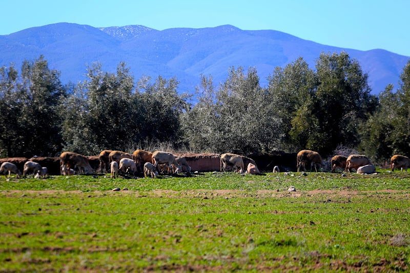 المغرب: تحسن تدريجي في الأحوال الجوية وبداية مرحلة استقرار معتدل