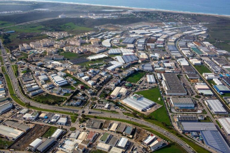 صورة المقالة