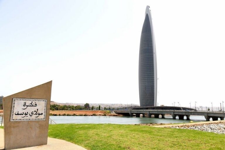 صورة المقالة