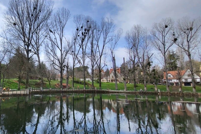 بحيرة لابريري في إفران تستعيد عافيتها وعناصرها البيئية بعد سنوات من الجفاف