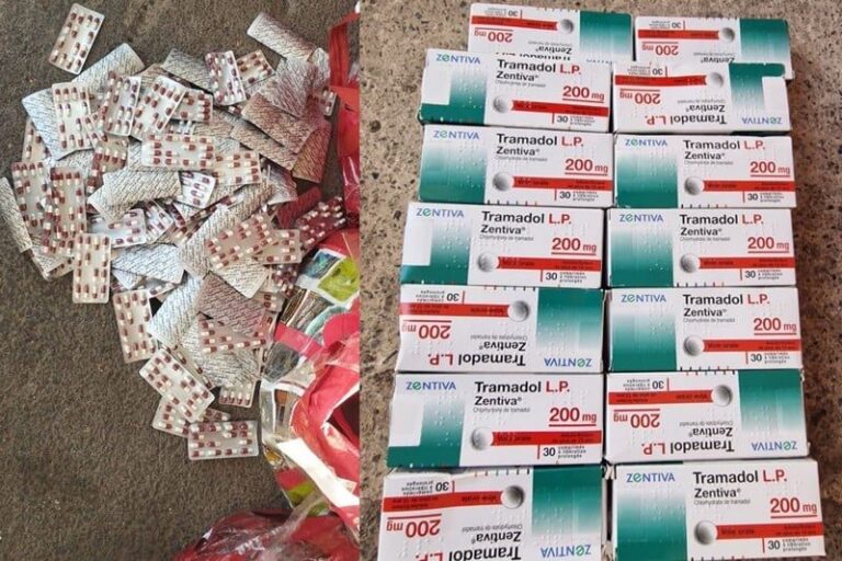 صورة المقالة