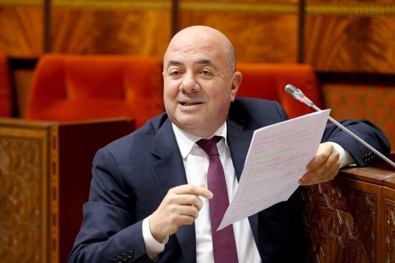 صورة المقالة