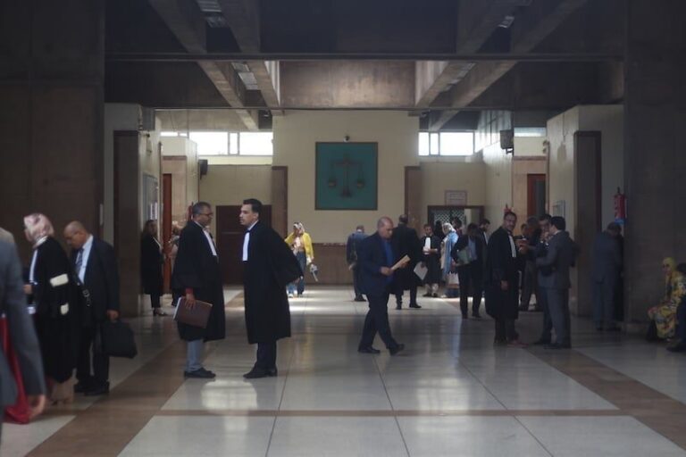 صورة المقالة