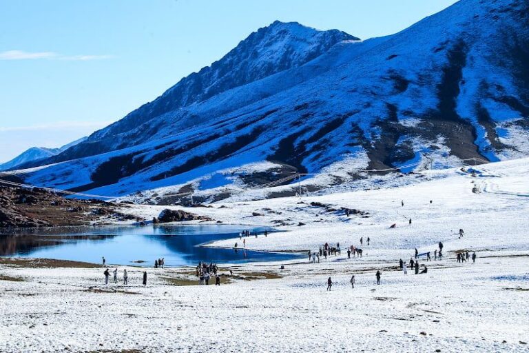 صورة المقالة