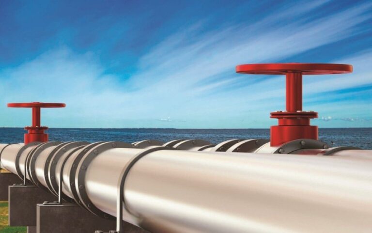 صورة المقالة