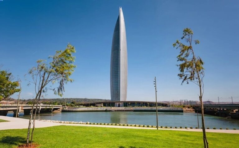 صورة المقالة