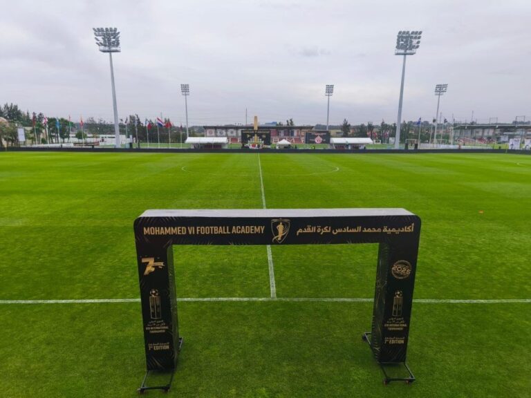 صورة المقالة