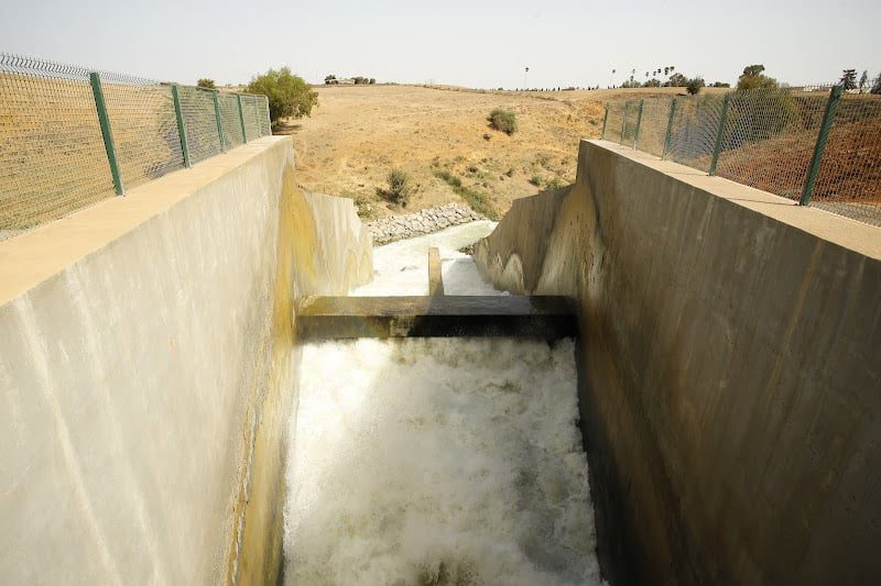 صورة المقالة