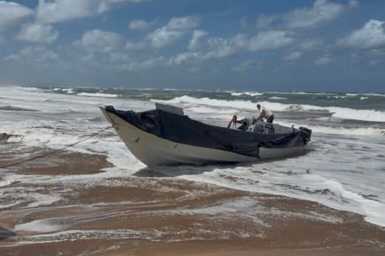 صورة المقالة