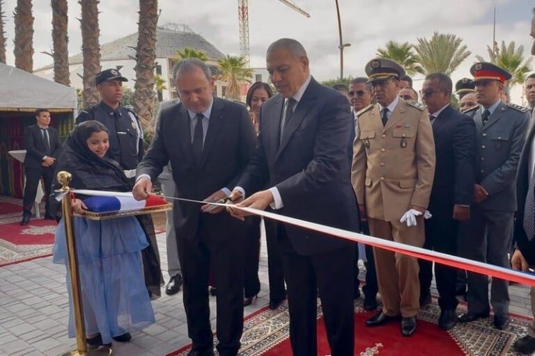 صورة المقالة