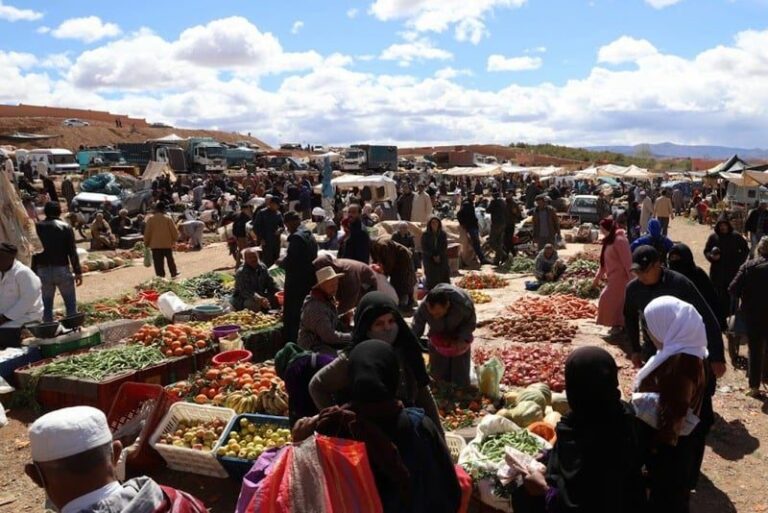 صورة المقالة