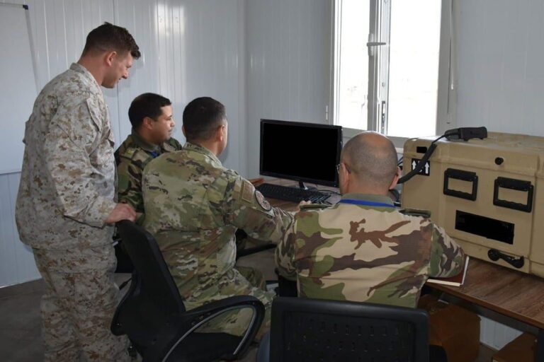 صورة المقالة