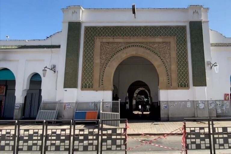 صورة المقالة