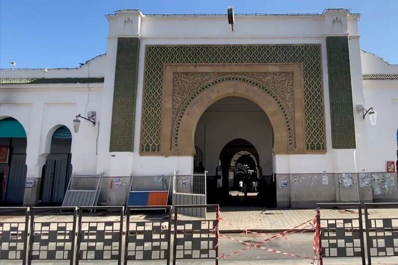 صورة المقالة