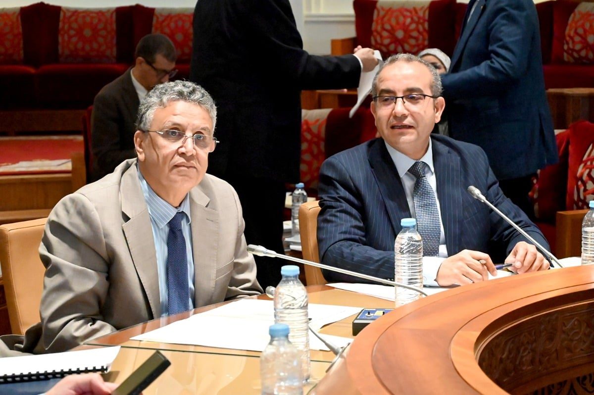 صورة المقالة