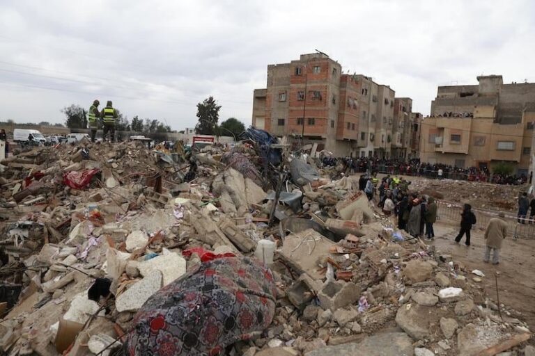 صورة المقالة