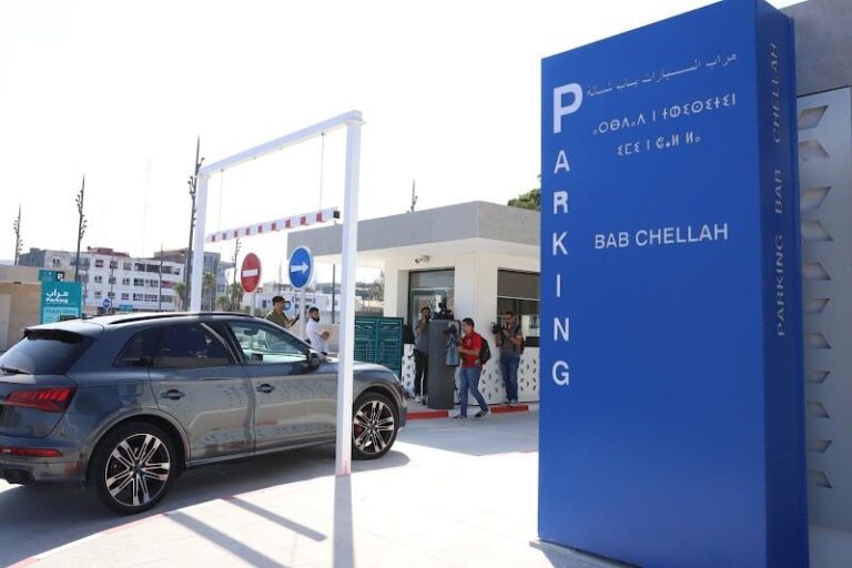 صورة المقالة