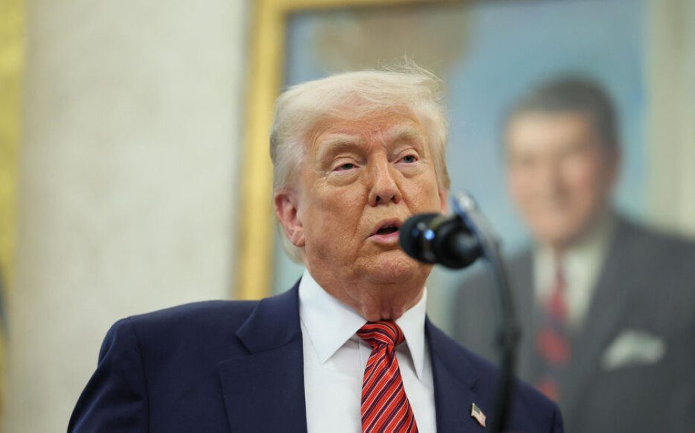 صورة المقالة