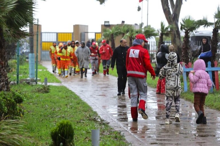 صورة المقالة